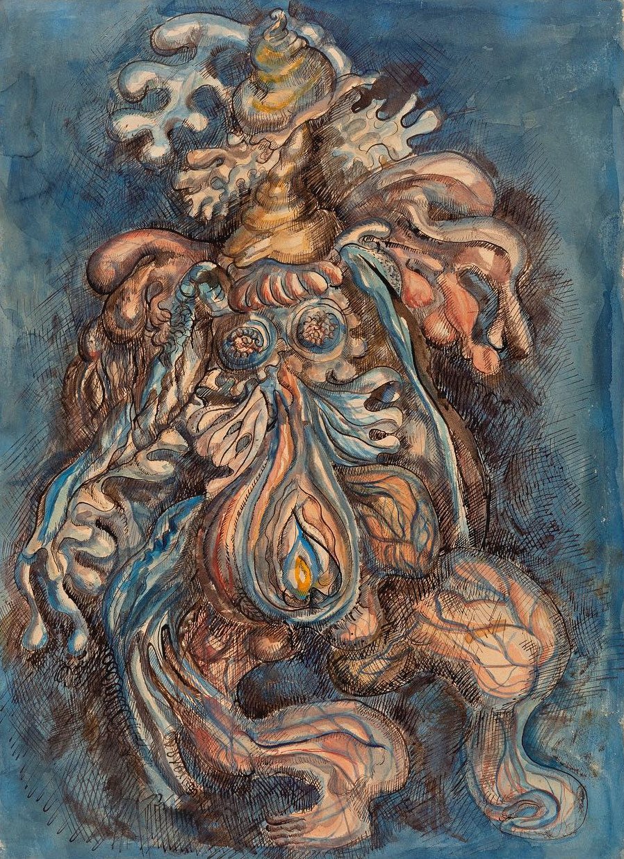 amy nimr untitled anatomical corpse 1940 aware women artists artistes femmes