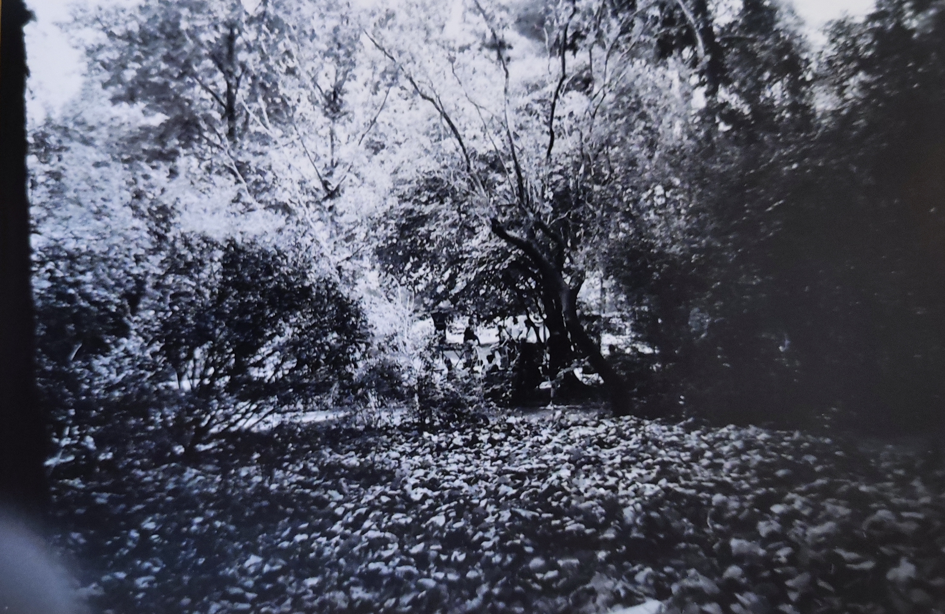 Untitled artwork