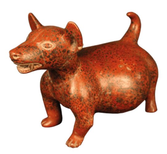 Perrito Colima
