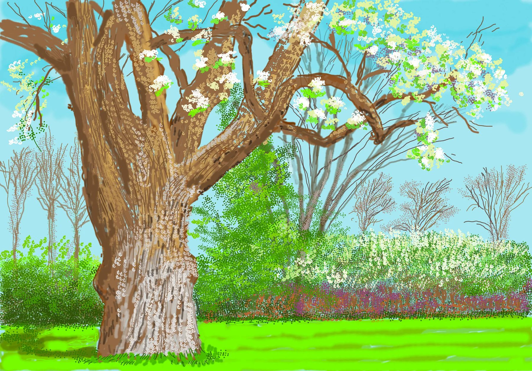 David Hockney