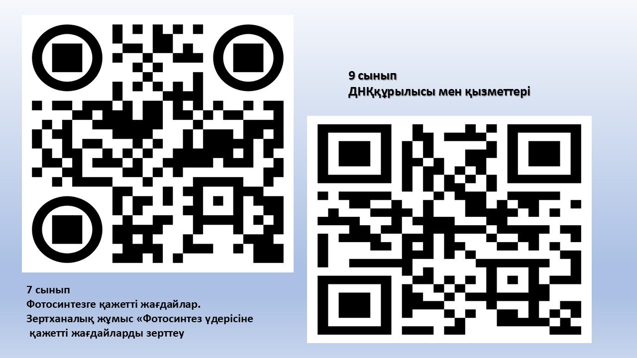 Слайд9