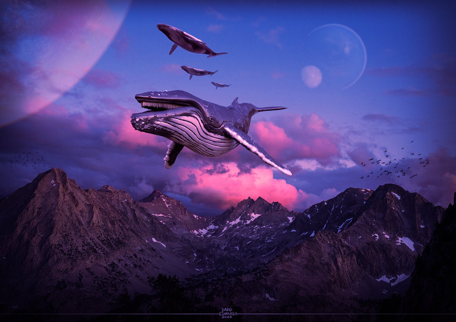 Fly Over copy 5 WP
