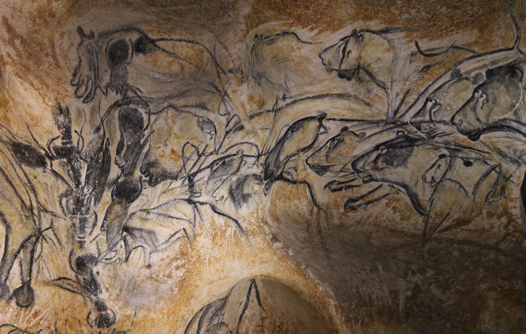 Chauvet Cave Animal Panel, France