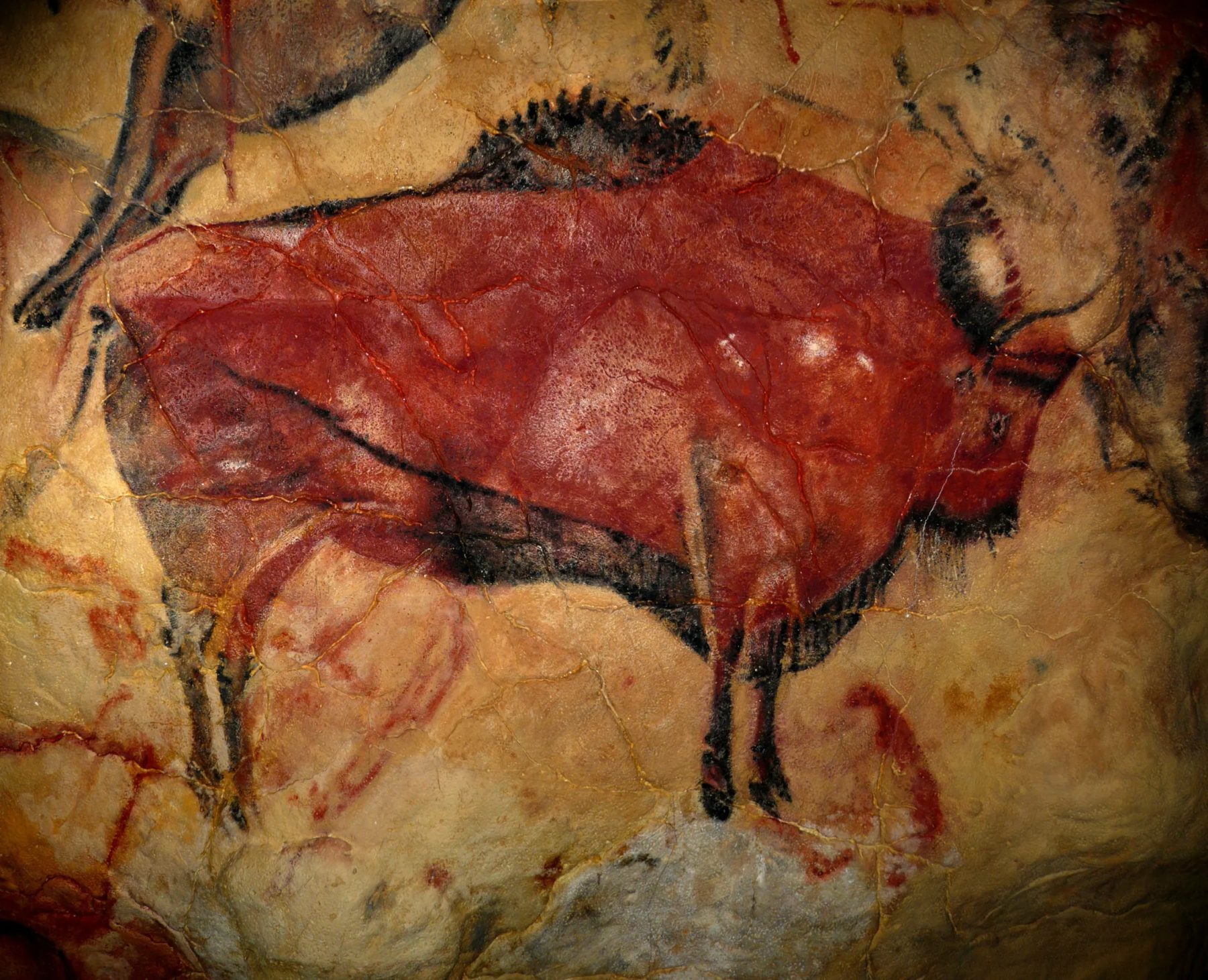 The Altamira Bison Artist: Unknown (Magdalenian culture) Year: c. 17,000–12,000 BCE Medium: Polychrome pigments (charcoal and ochre) on limestone
