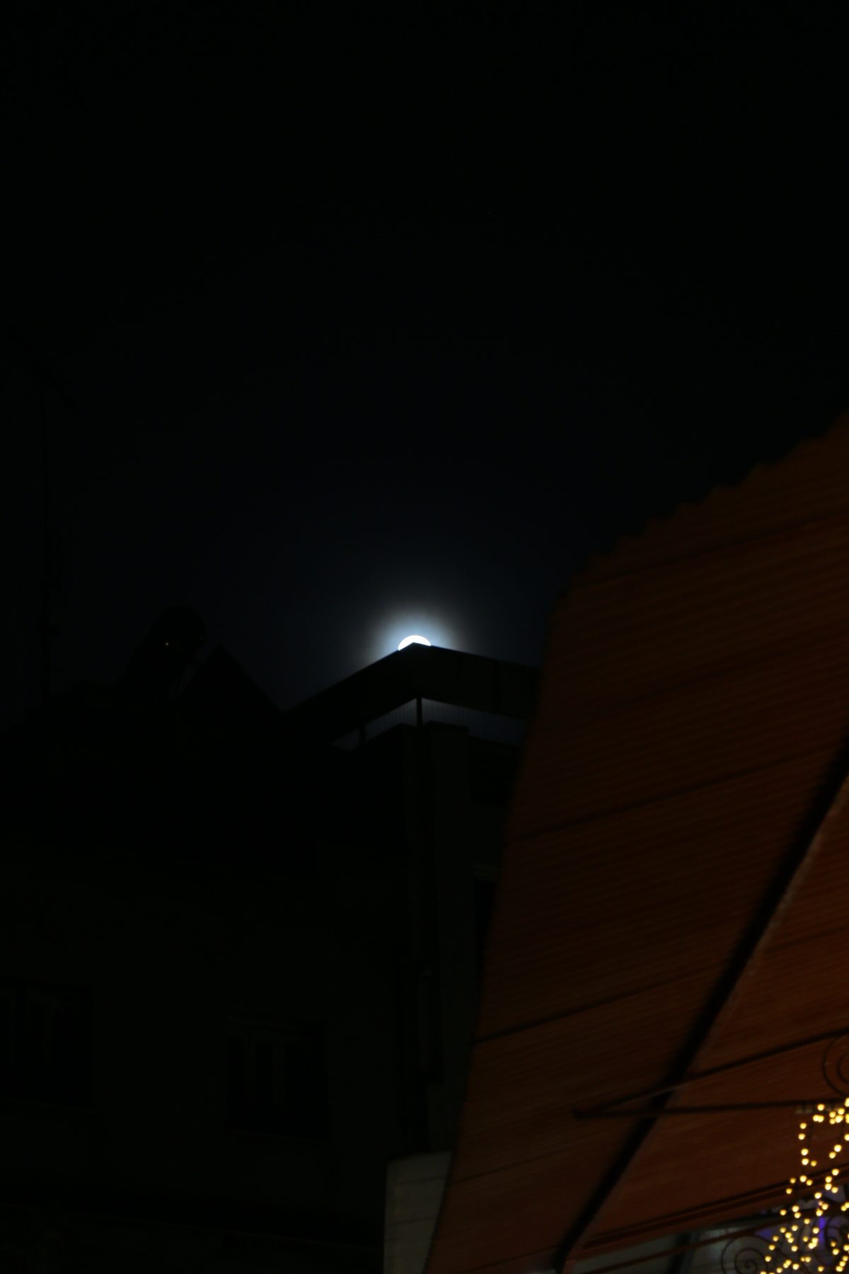 IMG 7971