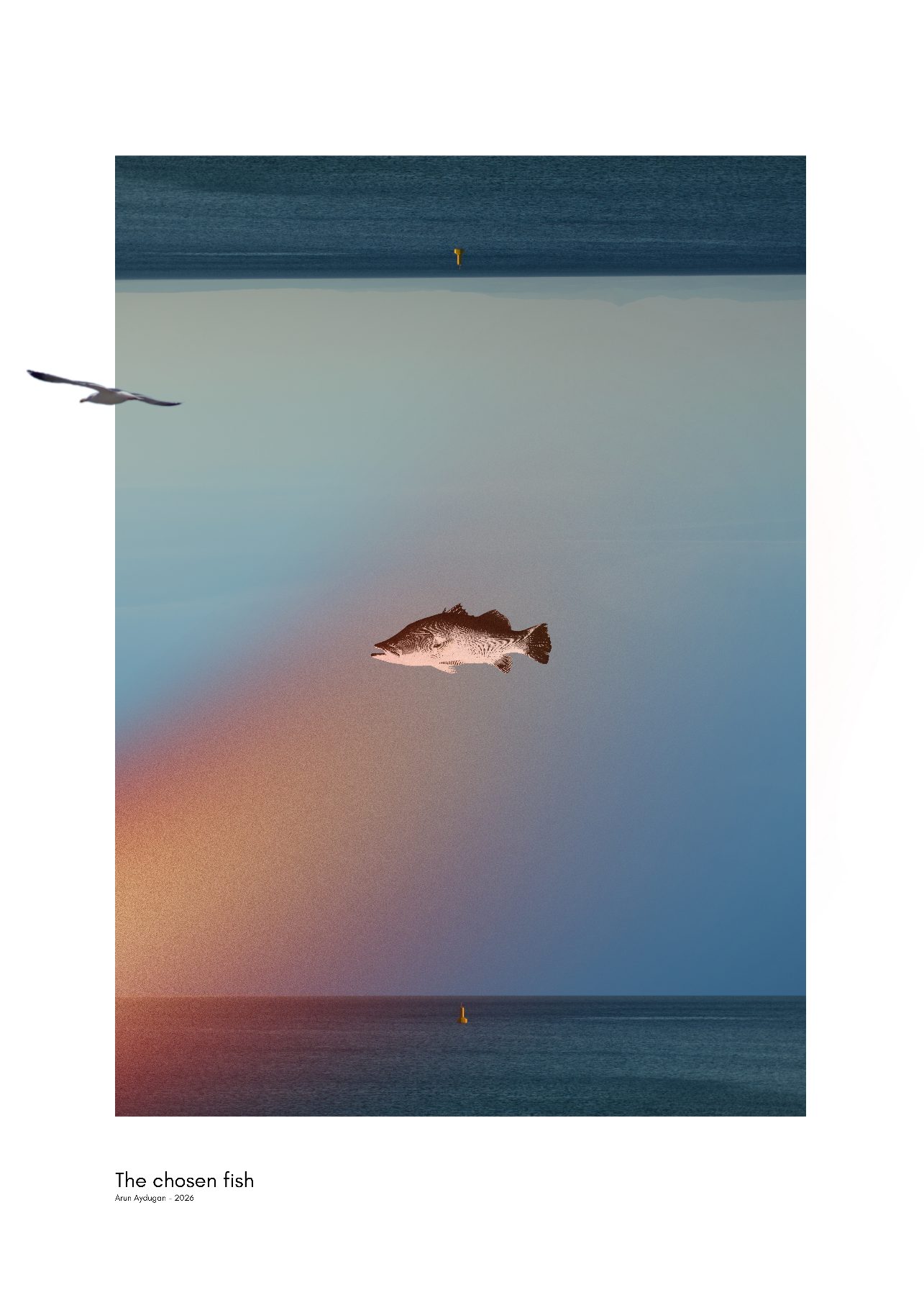 The chosen fish