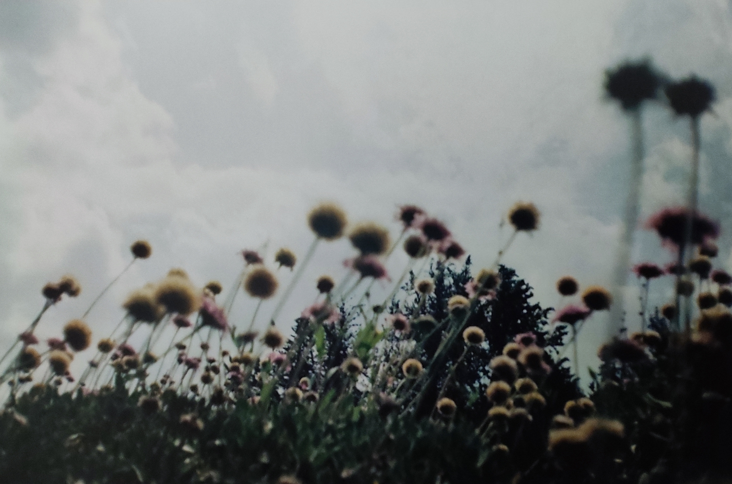 Untitled artwork