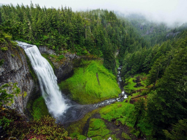 Forest Waterfall