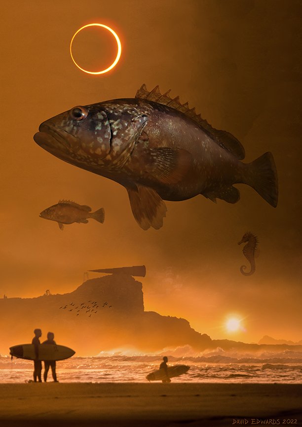 Fish copy 2lr