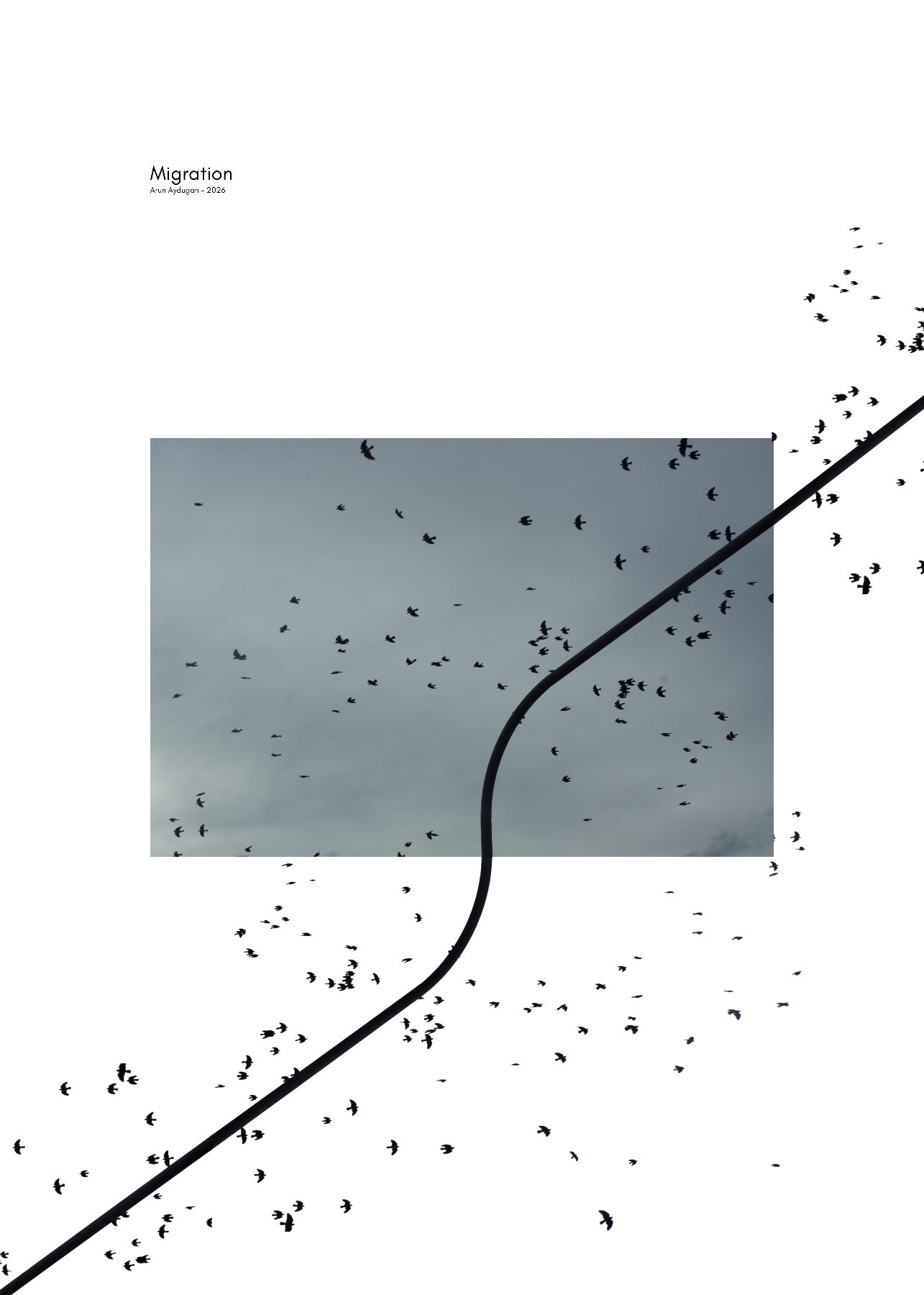 Migration