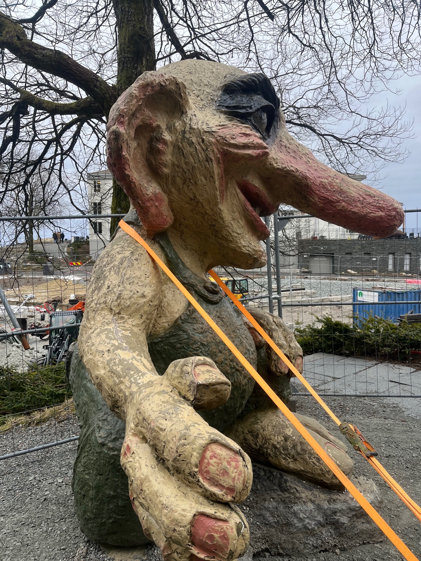 IMG 5103