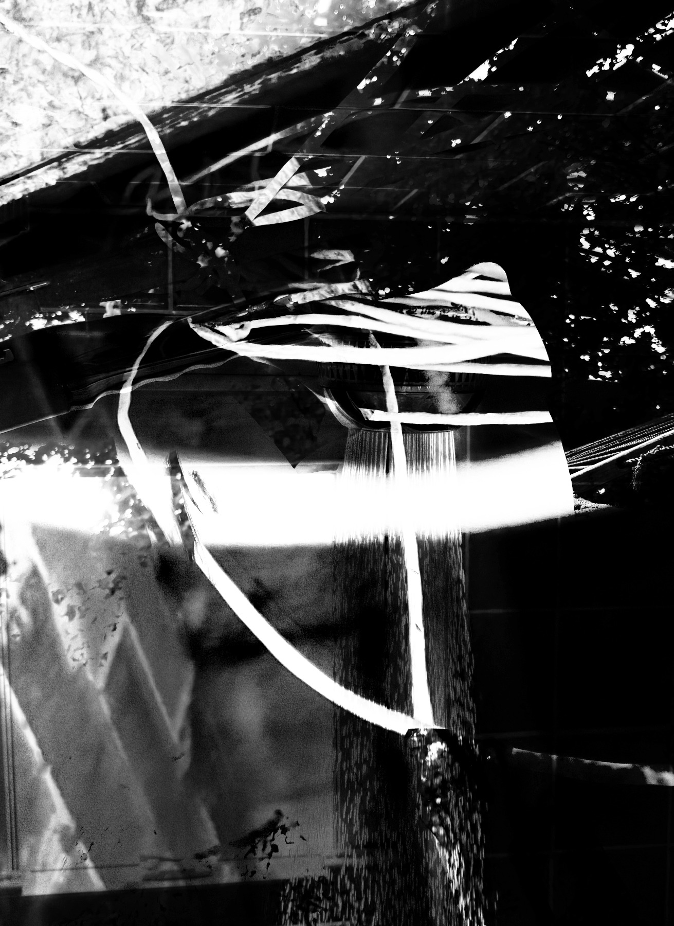 IMG 7649