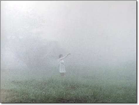 A coleta da neblina 