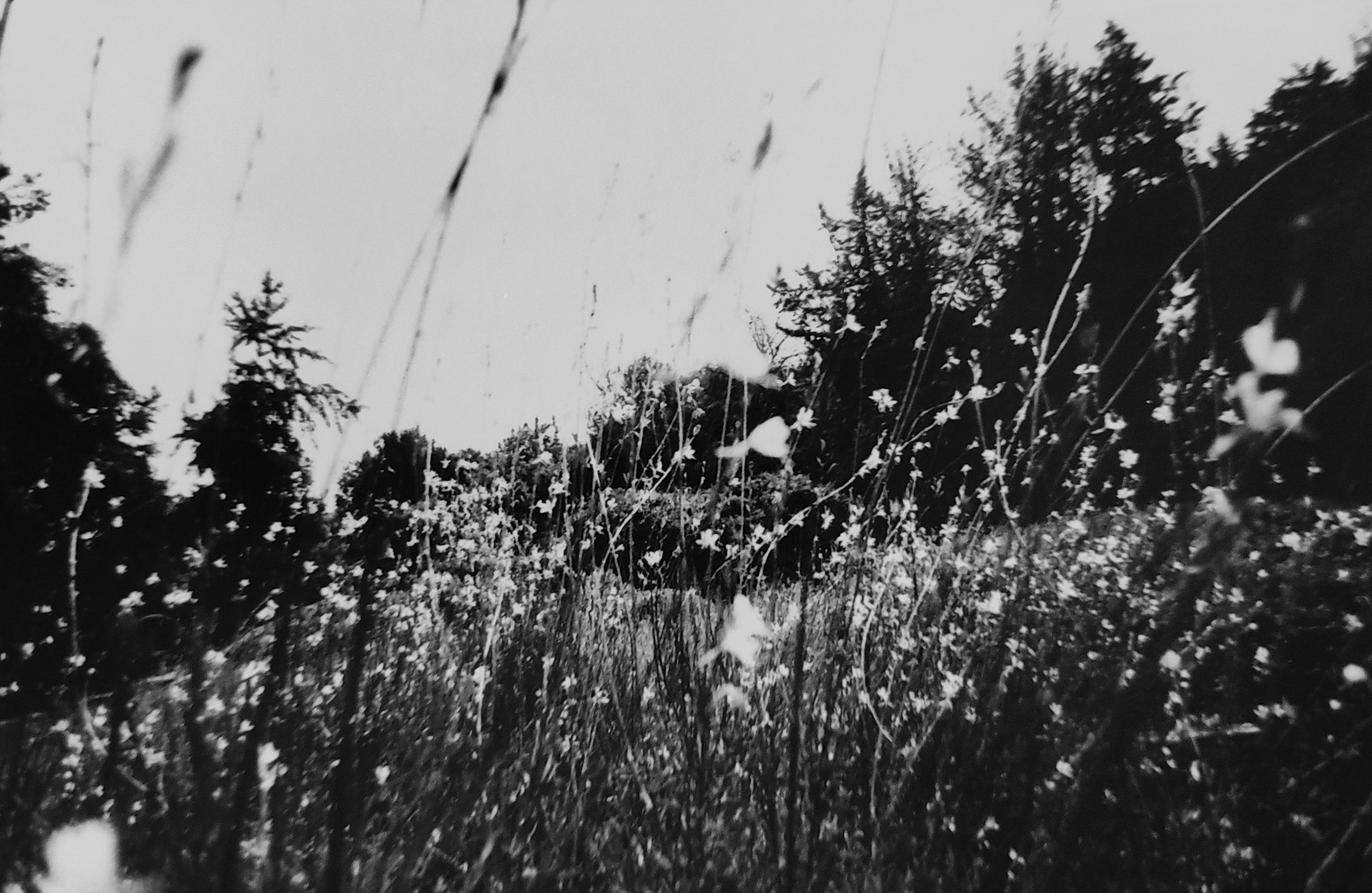 Untitled artwork