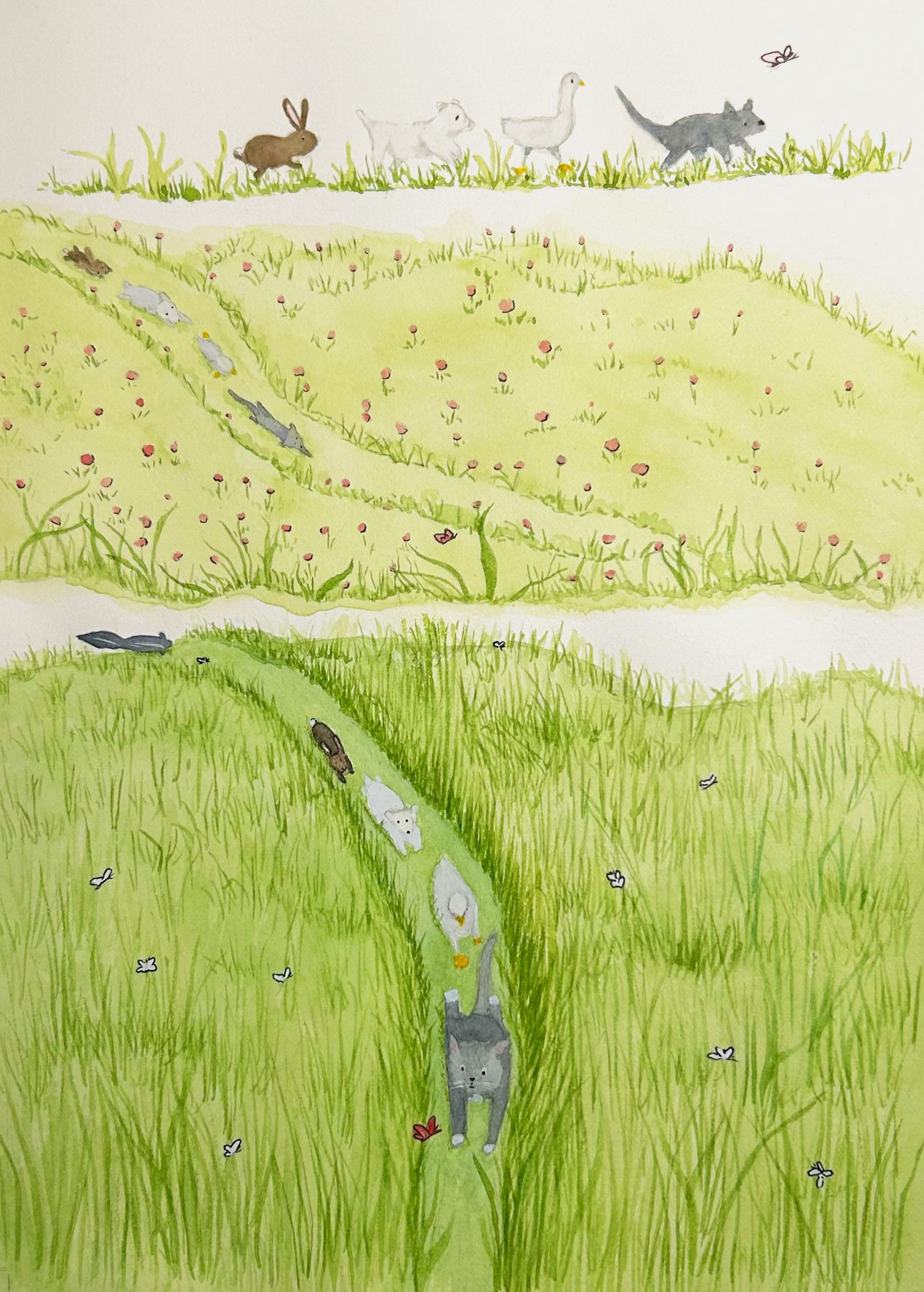 Animals on the Meadow Path