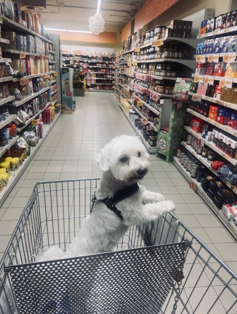 SUPERMERCATO